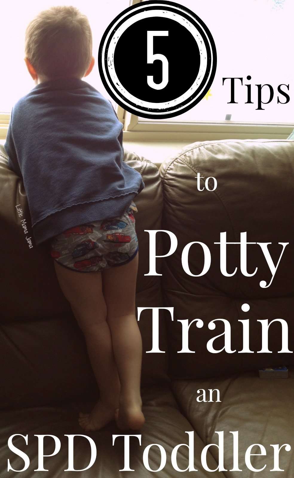 5 Tips to Potty Train a Toddler with Sensory Processing ...