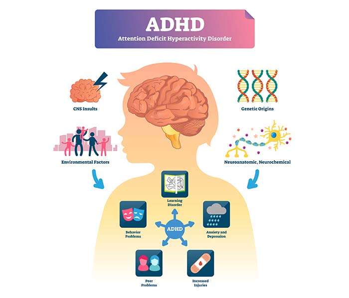 Attention Deficit Hyperactivity Disorder / ADHD Overview