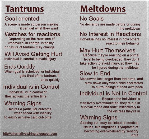 Autism Spectrum Disorder and Meltdowns