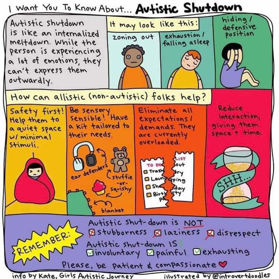 Autistic Shutdown : autism