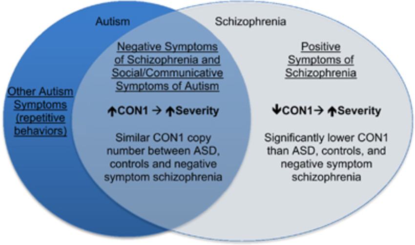 DUF1220 copy number associations support autism and ...