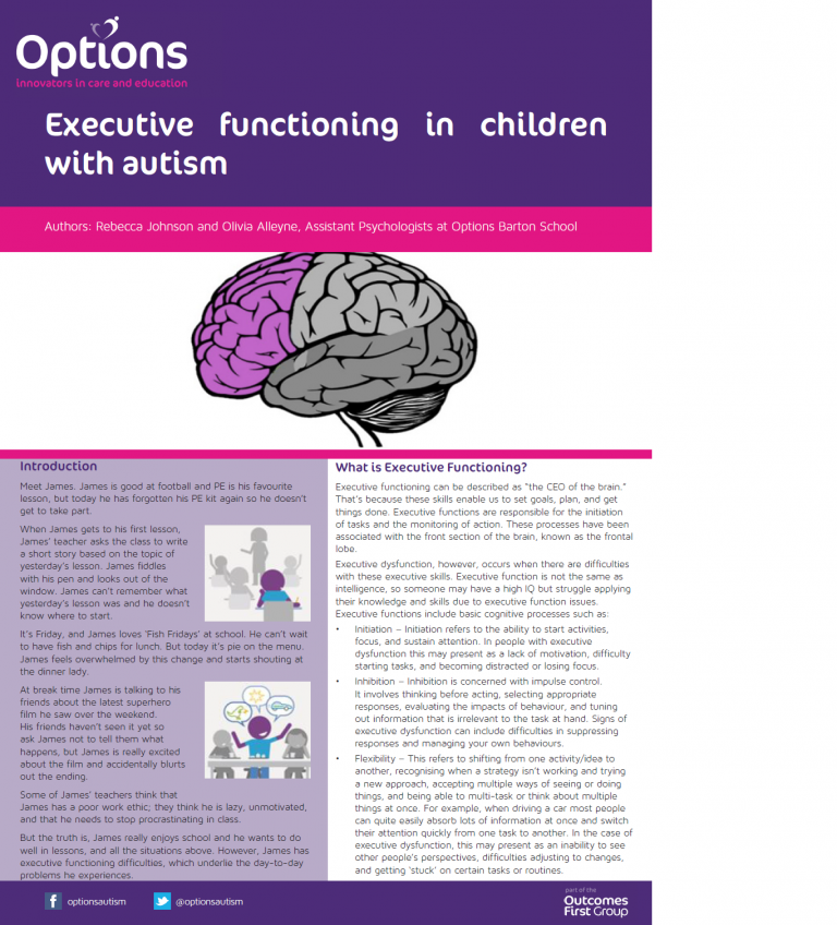 Executive functioning in children with autism