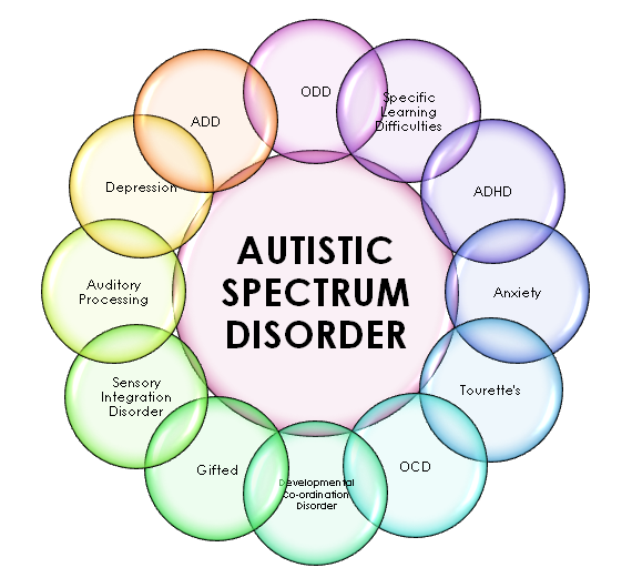 Exploring Autism Spectrum Disorders