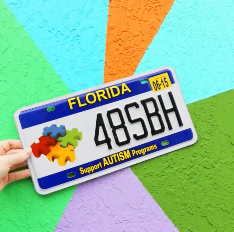 Florida Autism License Plate Announces the Start of 2020 Grant Cycle ...