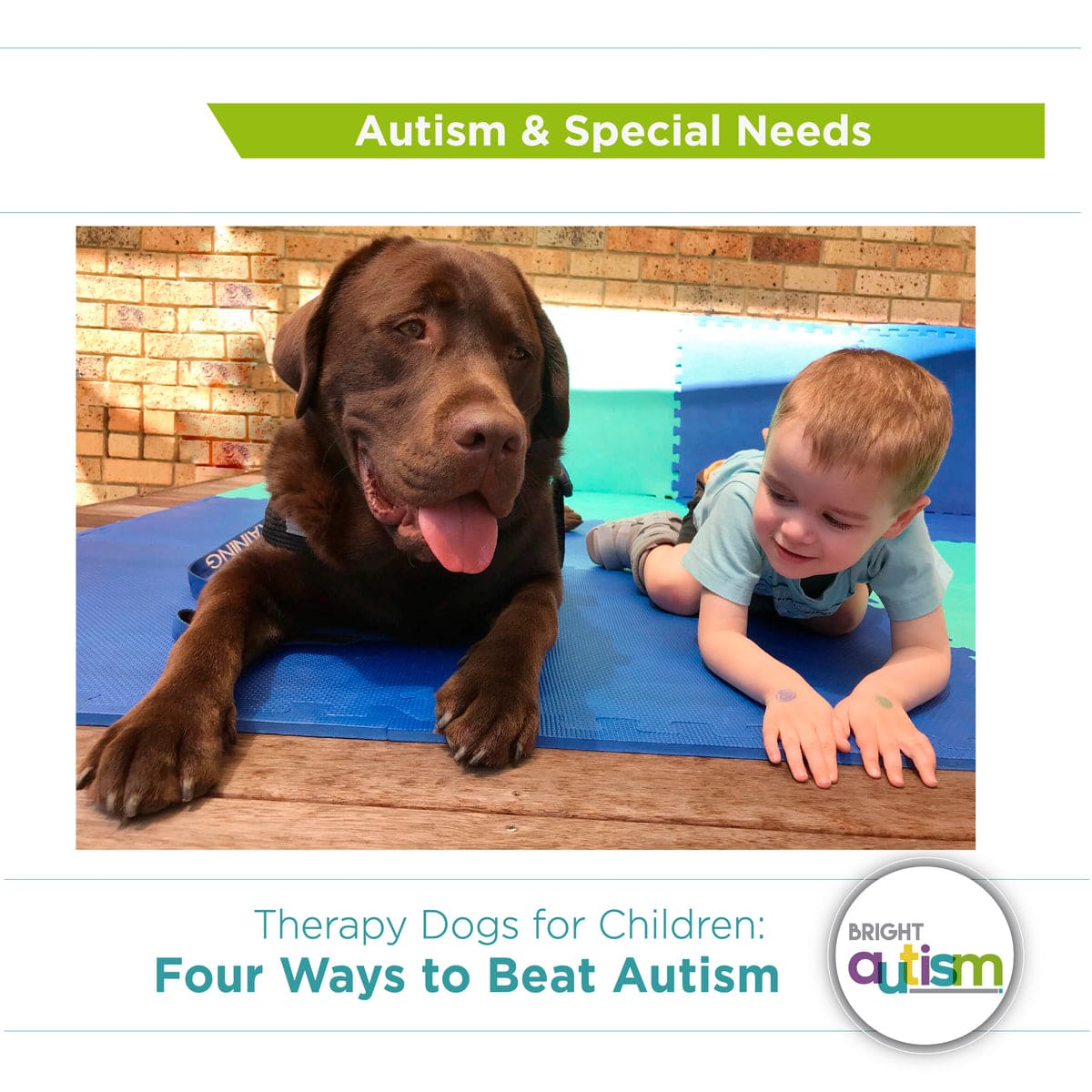 How Dogs can help children with autism?