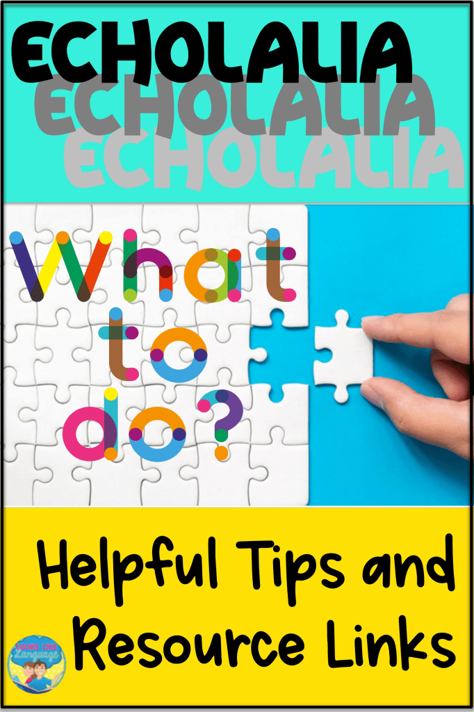 How to Deal with Echolalia: Practical Tips from Looks Like ...