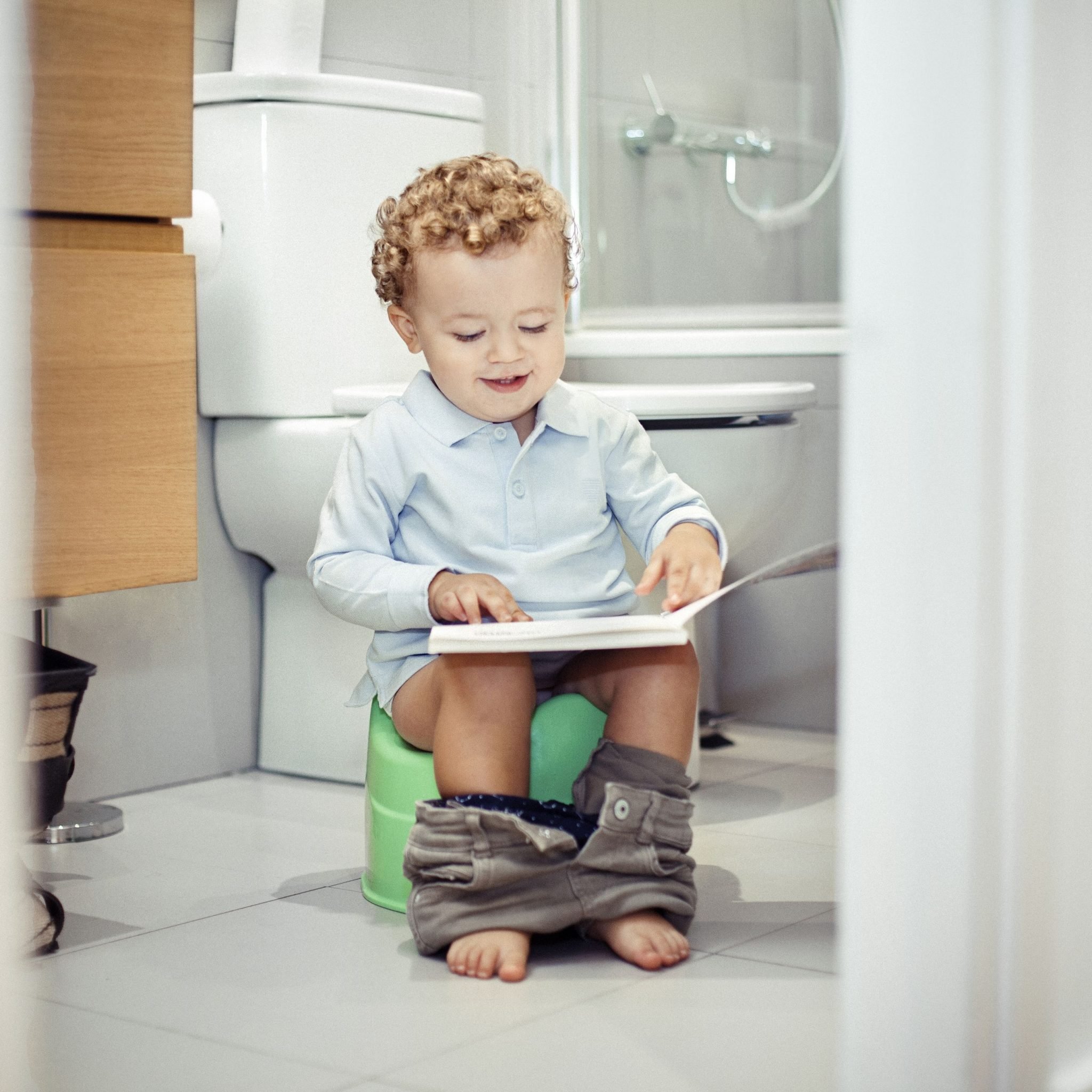 How To Potty Train Your Non