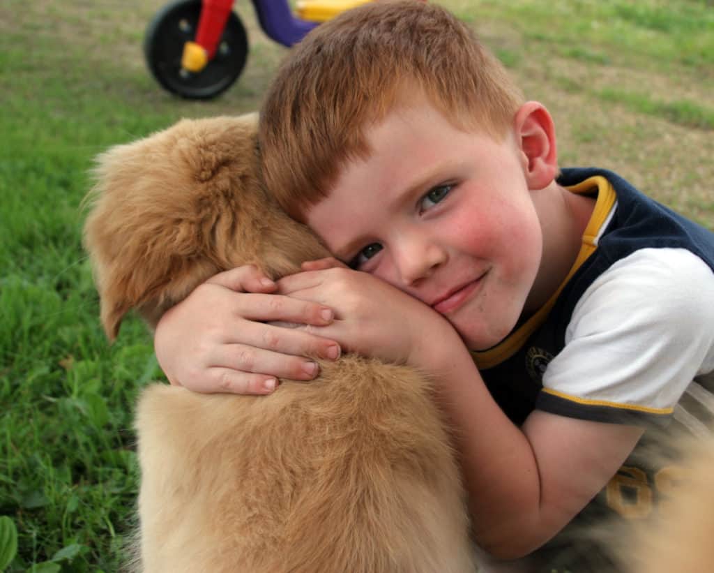 How To Teach An Autistic Child To Respect Animals  Safe ...