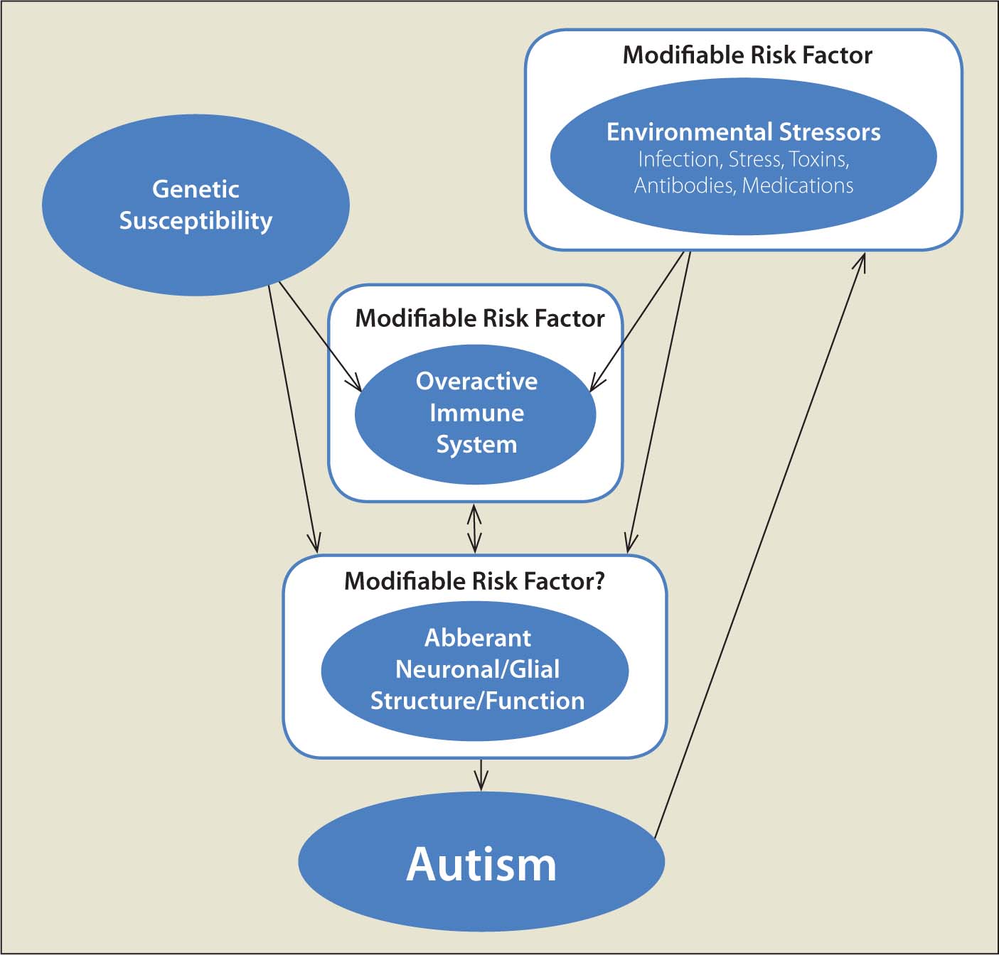 Immune Response and Inflammation in Autism Spectrum Disorder