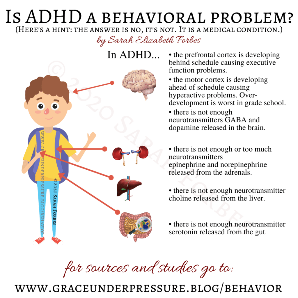 Is ADHD a Behavioral Problem? â Grace Under Pressure