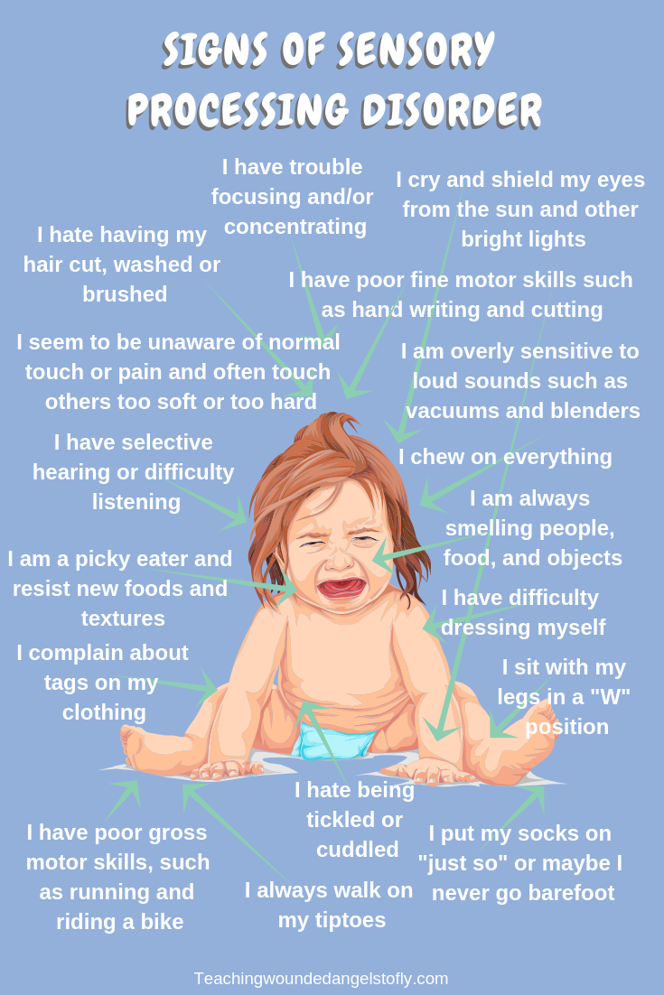 Is it Sensory Processing Disorder or Attention Deficit ...