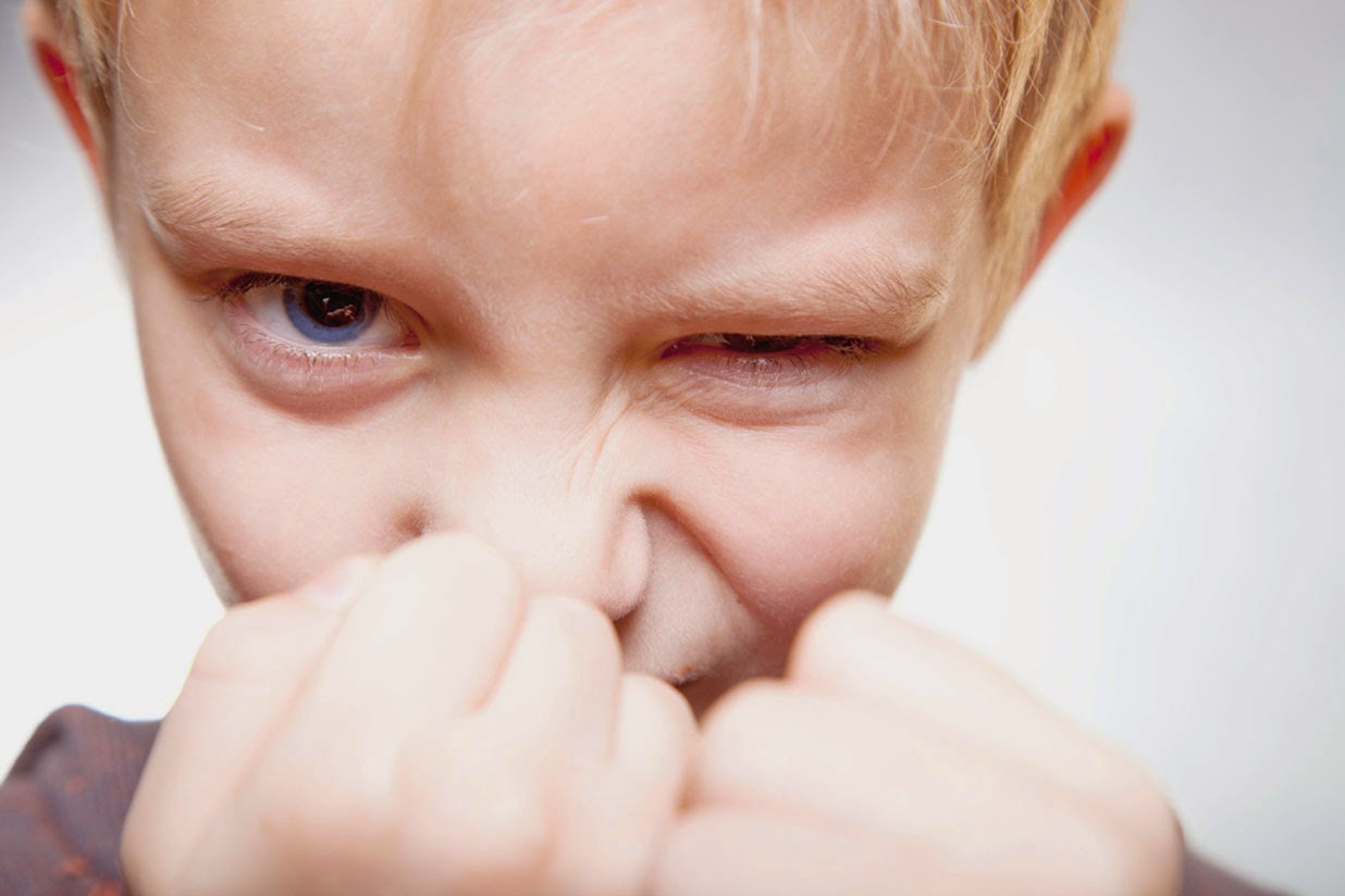 My Aspergers Child: Dealing with Destructive Behavior in ...