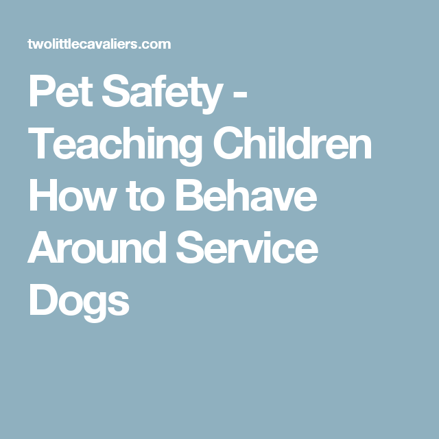Pet Safety â Teaching Children How to Behave Around ...