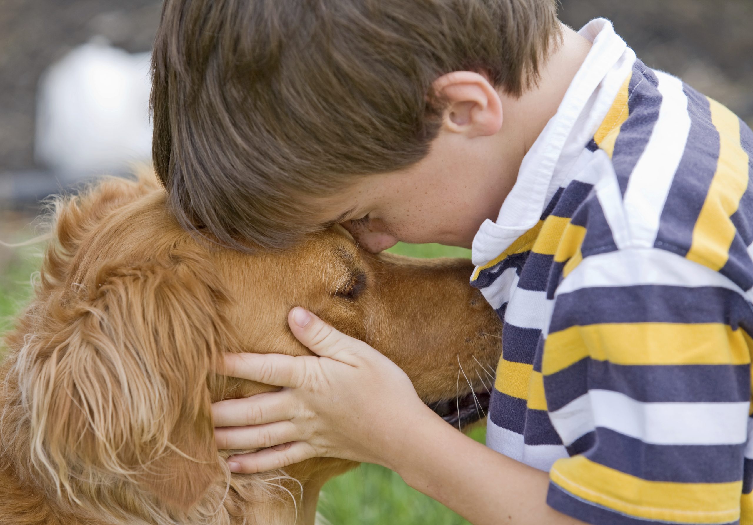 Pets help autistic kids improve social skills