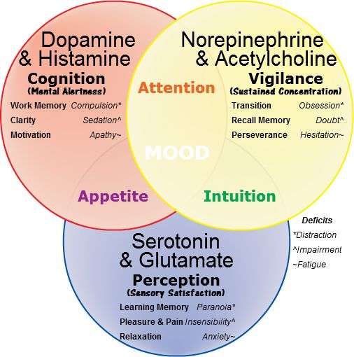 Psychology, Brain health, Neurotransmitters