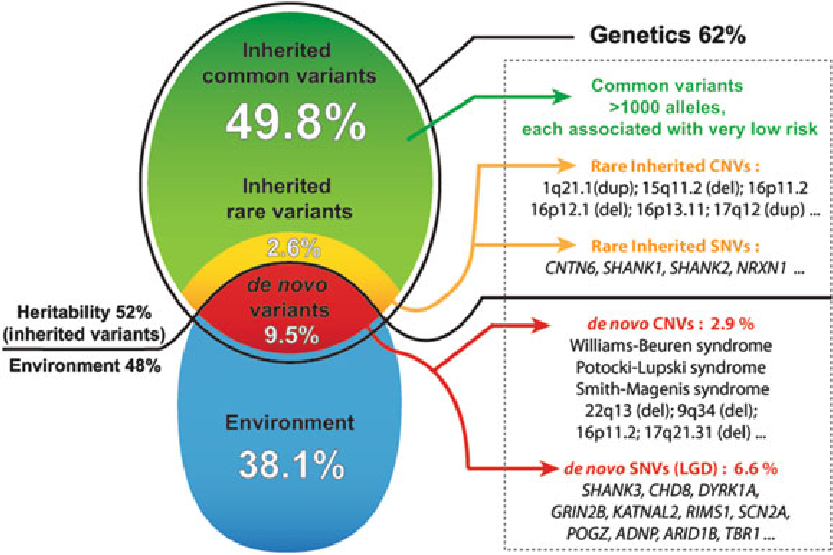 Relative contribution of the genetics and environment in ...