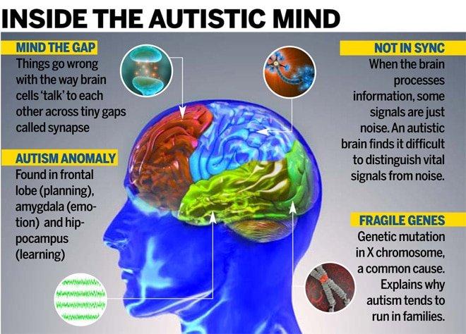Secrets of the Autistic Mind