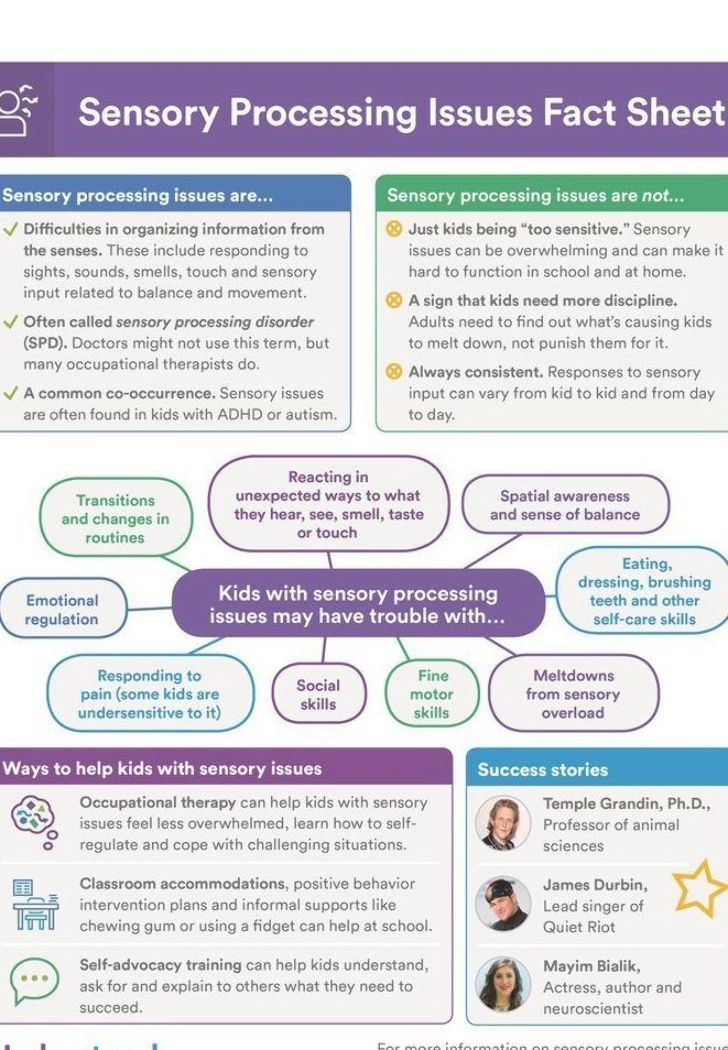 Sensory Processing Issues Fact Sheet in 2020