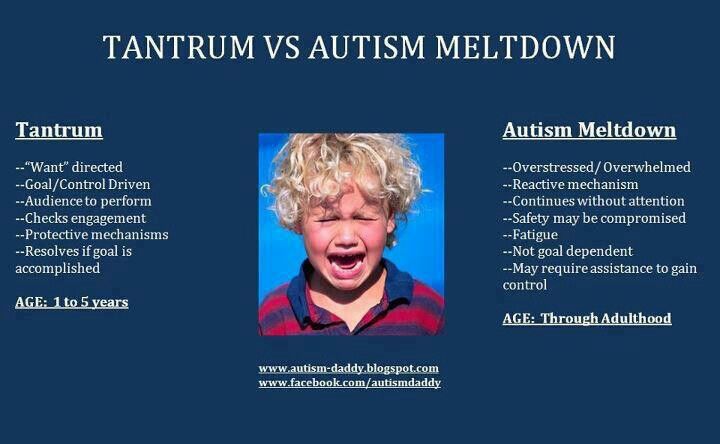 tantrum vs autistic meltdown