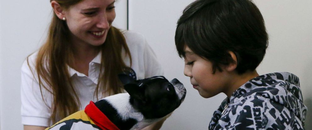 Therapy dogs are helping children with autism stay calm at ...