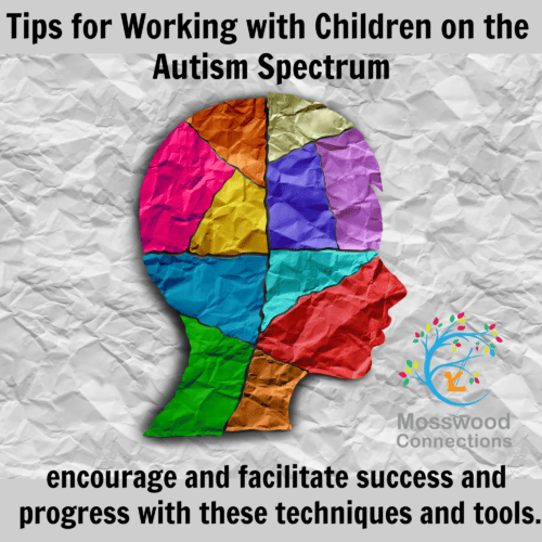 Tips for Working with Children on the Autism Spectrum