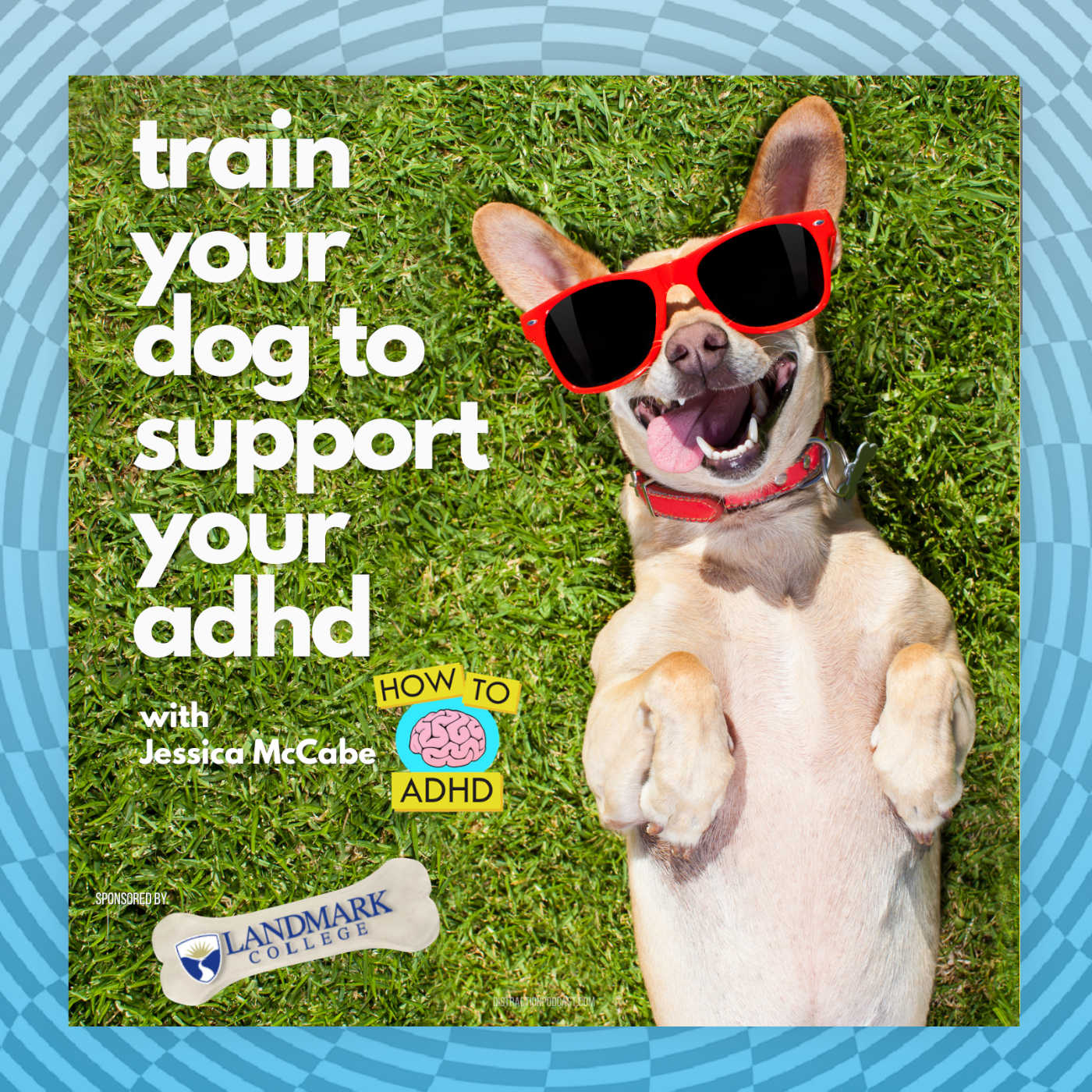 Train Your Dog to Support Your ADHD with Jessica McCabe and Landmark ...