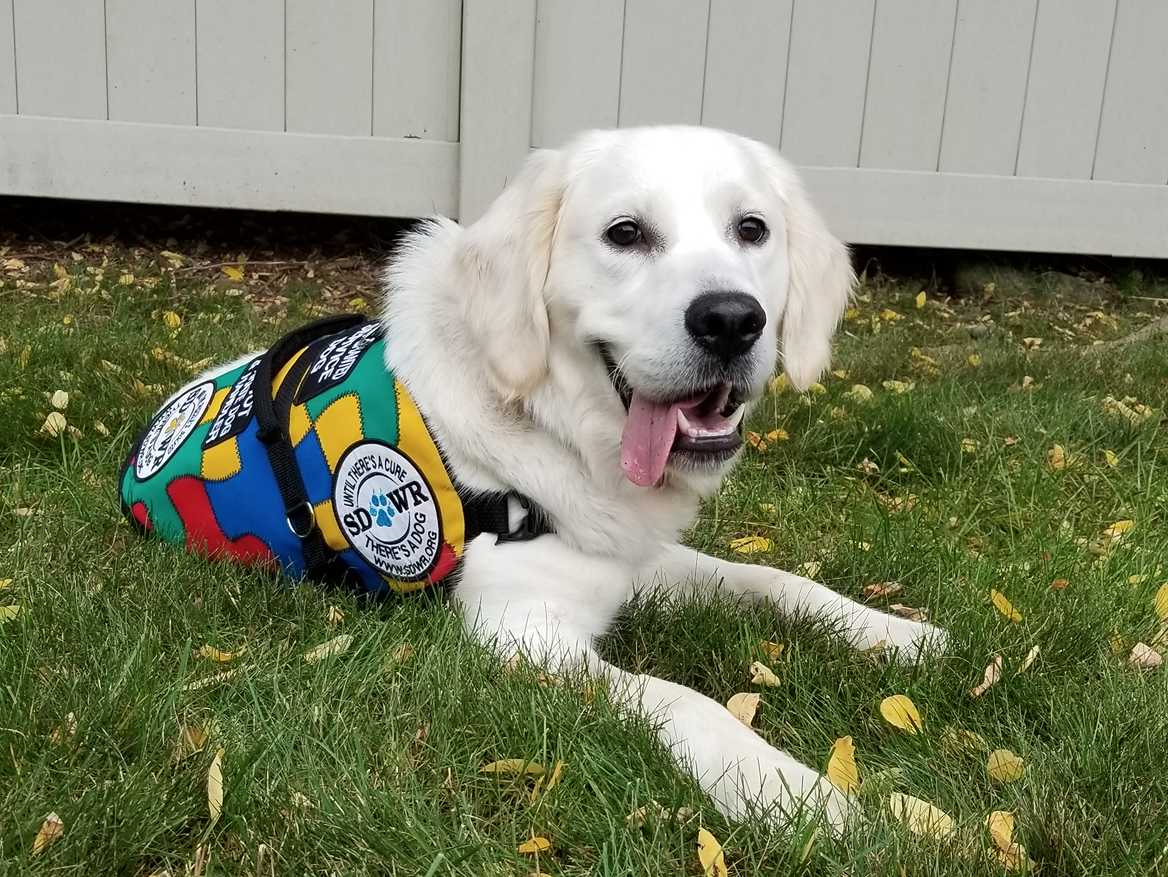 Trained Autism Service Dog to Help Five