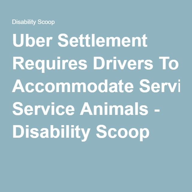 Uber Settlement Requires Drivers To Accommodate Service Animals ...