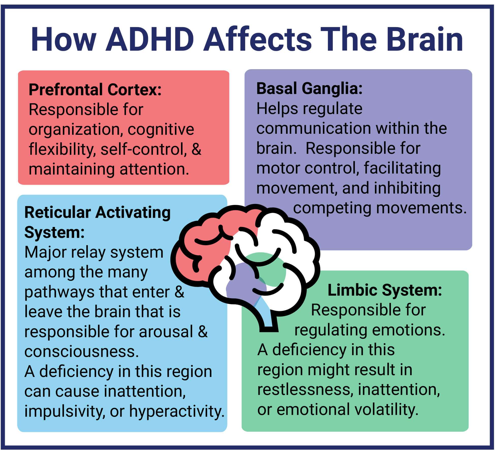 What is ADHD? An Overview of the Causes and Signs of ADHD