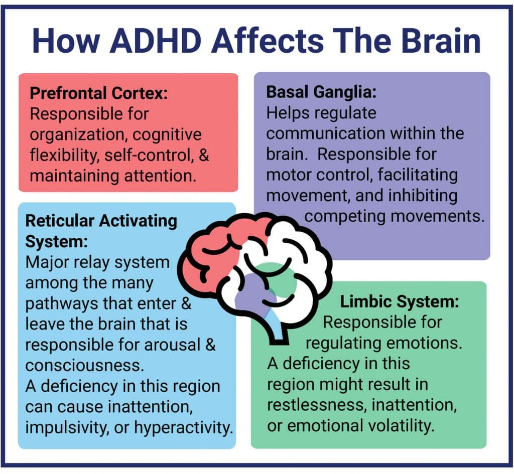 What is Attention Deficit Hyperactivity Disorder (ADHD)?
