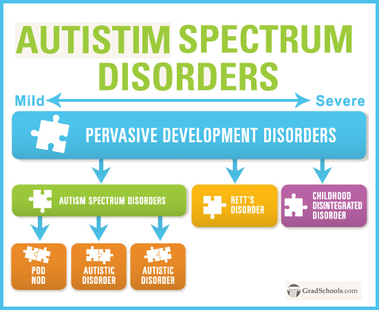 What is Autism Spectrum Disorder (ASD)?: Defying The Spectrum