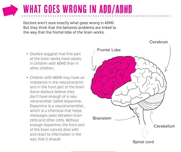 ð? Is adhd a chemical imbalance in the brain. The Chemical Imbalance ...