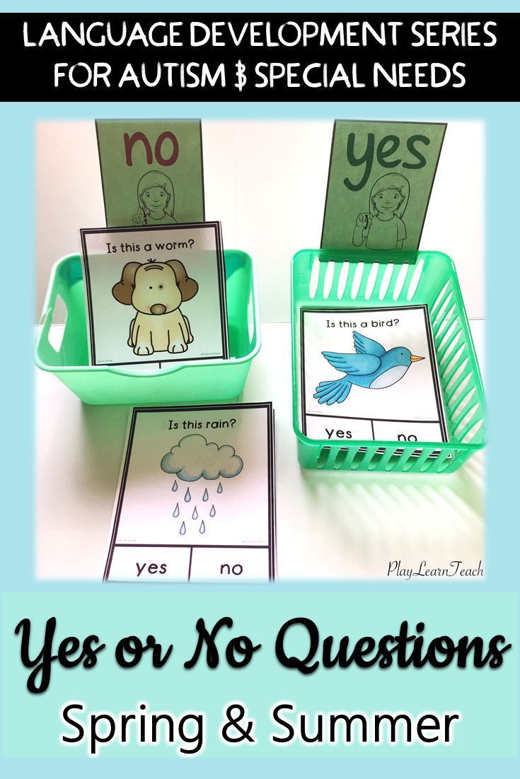 Yes No Questions Spring and Summer for Autism